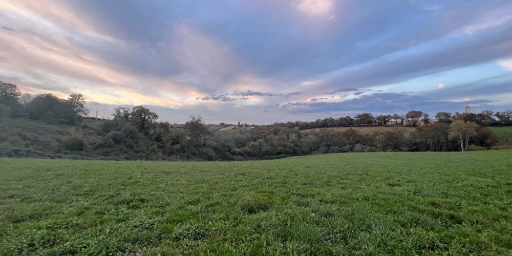 terrain à LUCQ DE BEARN (64360)